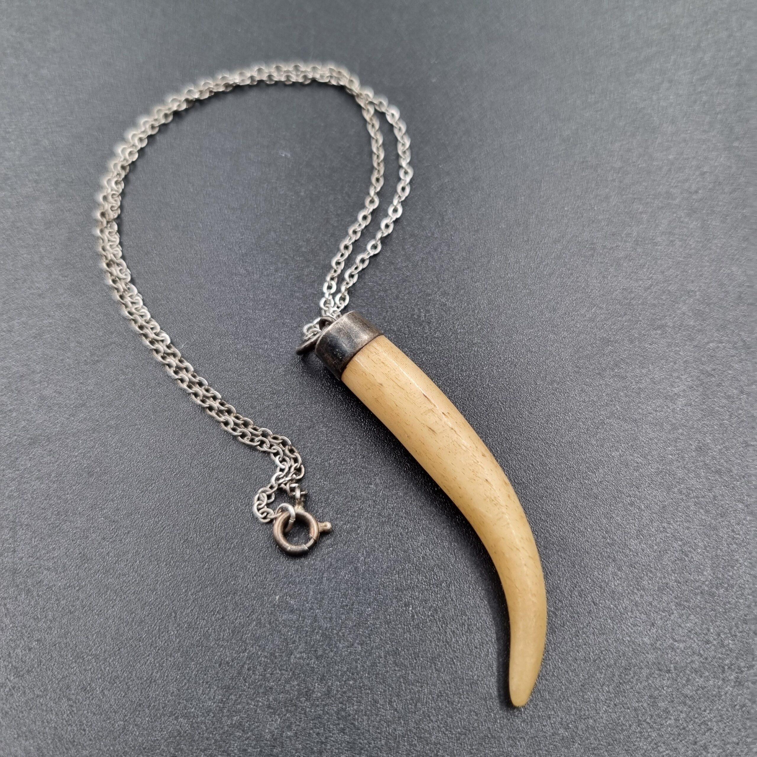 Antique Horn Shape Pendant Necklace with Silver Mount & Chain - Image 2
