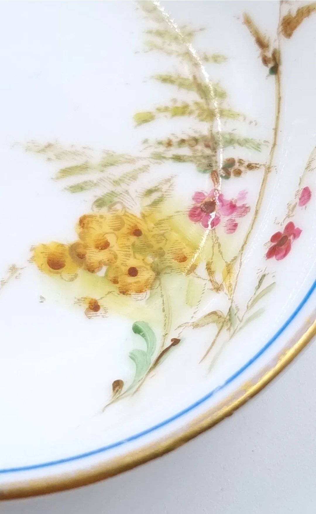Royal Worcester Hand Painted Dish 1938 Pattern W 4160 Wildflowers Pin Dish. - Image 3