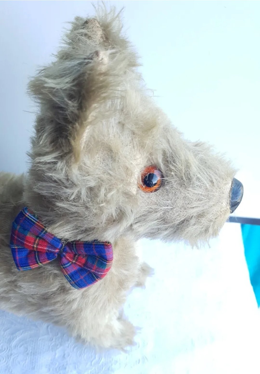 Chiltern Toys Terrier Dog 1930s With Label Collar & Bow.  Standing - Image 5