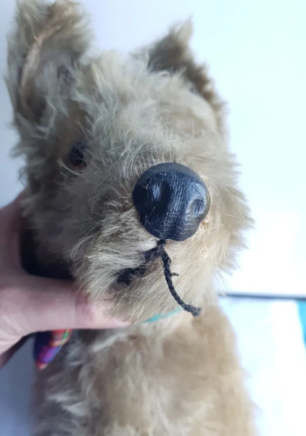 Chiltern Toys Terrier Dog 1930s With Label Collar & Bow.  Standing - Image 6