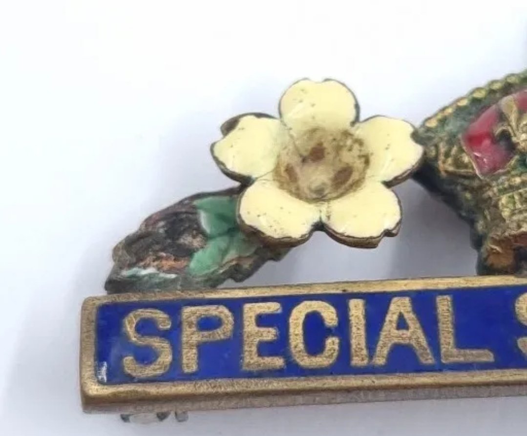 British Primrose League Pin Badge Special Service 1911 - Image 3