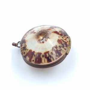 Victorian Shell Coin Purse with brass fittings. Approx 53mm wide.