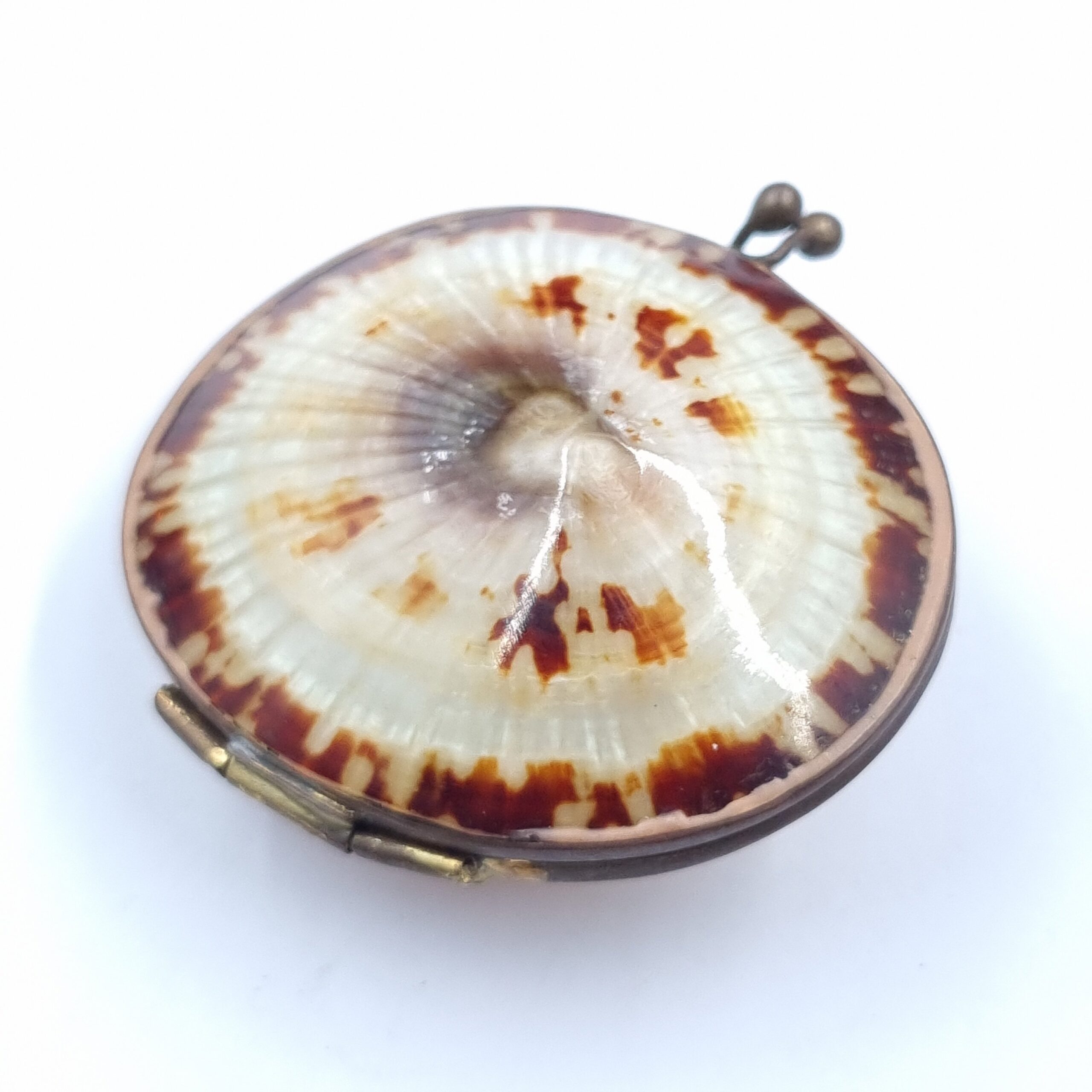 Victorian Shell Coin Purse Rosary Box - Image 3