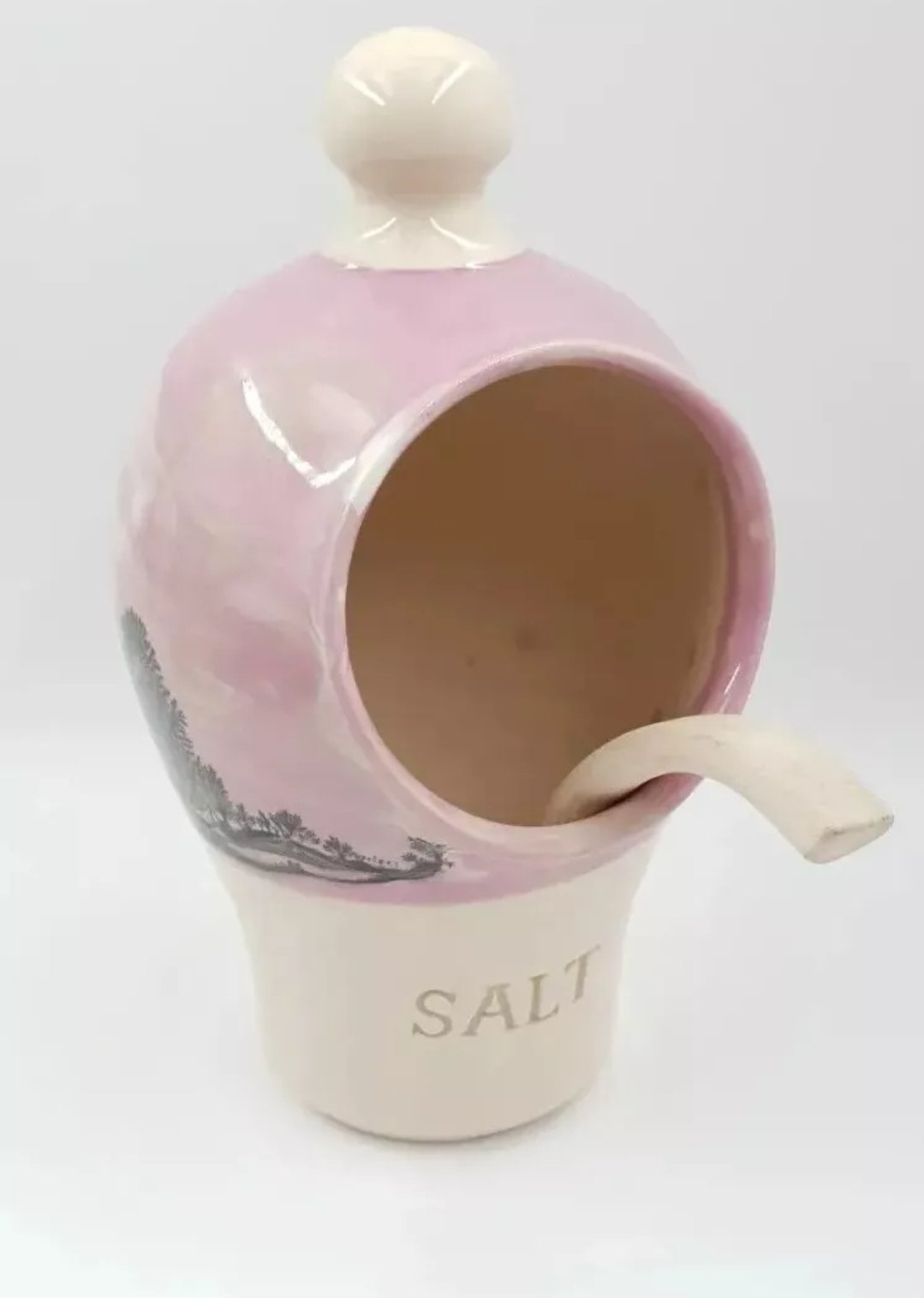 Boscastle Pottery Salt Pig & Spoon