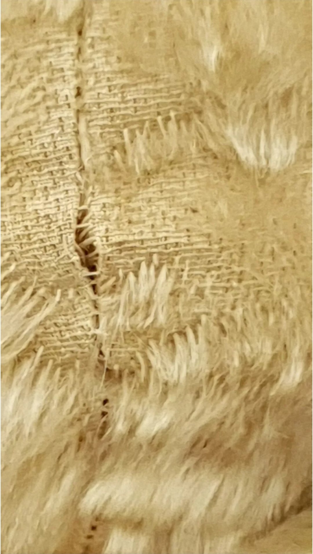 Chad Valley Mohair Teddy Bear 15in C1940s - Image 10