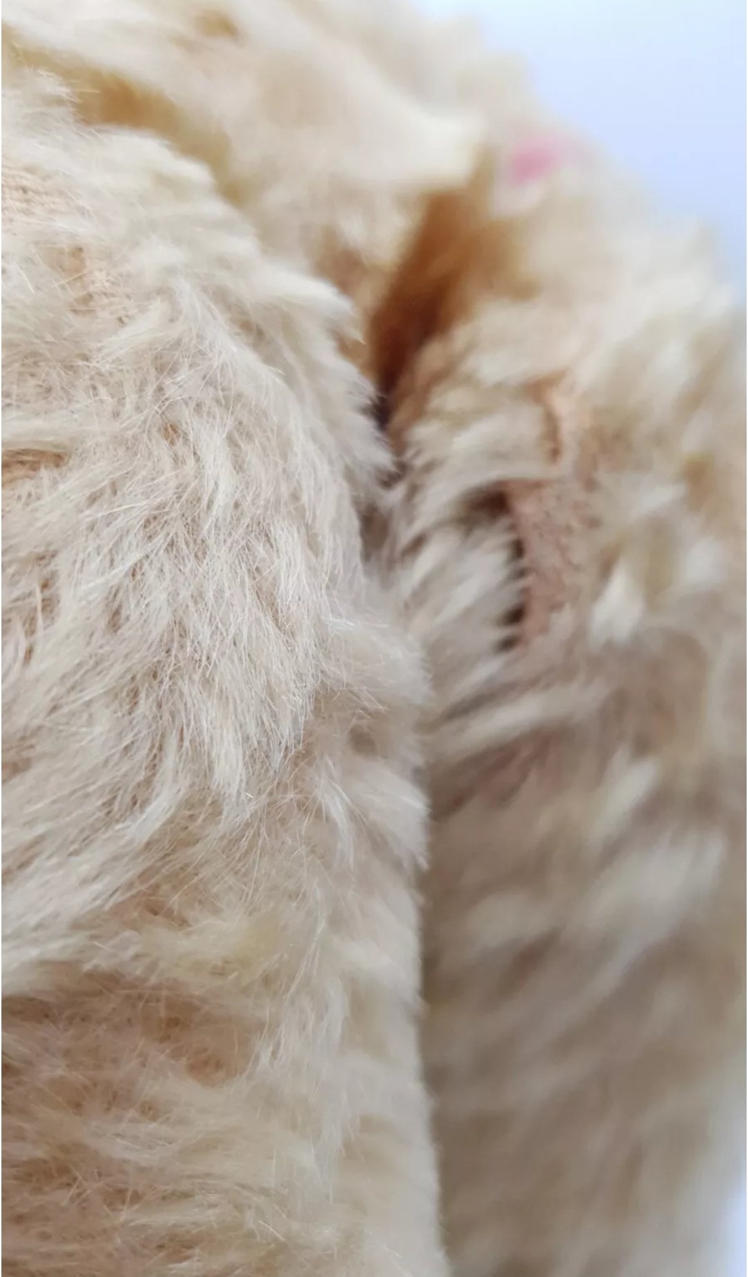 Chad Valley Mohair Teddy Bear 15in C1940s - Image 12